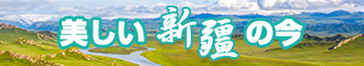 曰逼网新疆banner-w330n60.jpg